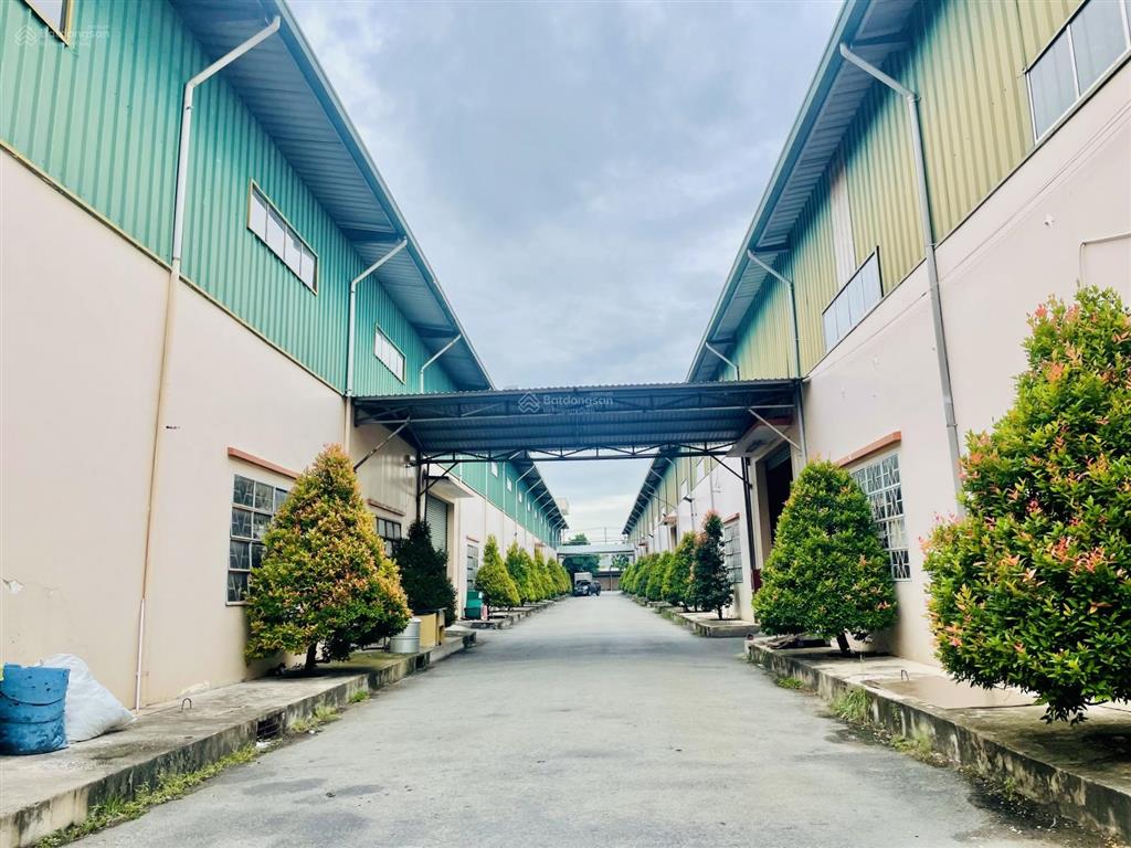 Cho thuê cụm nhà xưởng quy mô 25.000m khuôn viên 30.000m2, vị trí đẹp, hạ tầng hoàn chỉnh