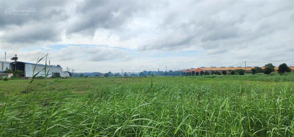 Bán 40.000m² đất khu công nghiệp hiệp phước, nhà bè, hcm giá 6,796tr/m2  vị trí giáp cảng cát lái