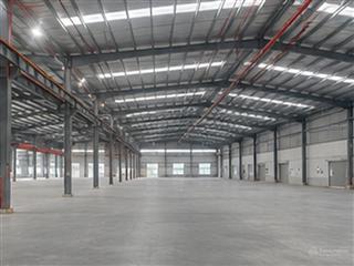 Cần cho thuê nhà xưởng tại kcn giao long, bến tre pháp lý đầy đủ, hợp đồng thuê minh bạch