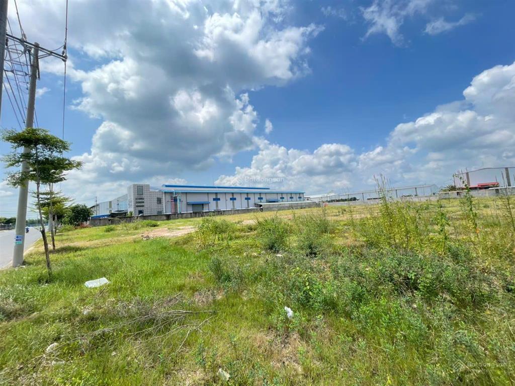Bán nhà máy 5,2 ha 4 mặt tiền kcn, long an cơ hội đầu tư hiếm vị trí đẹp kcn bến lức