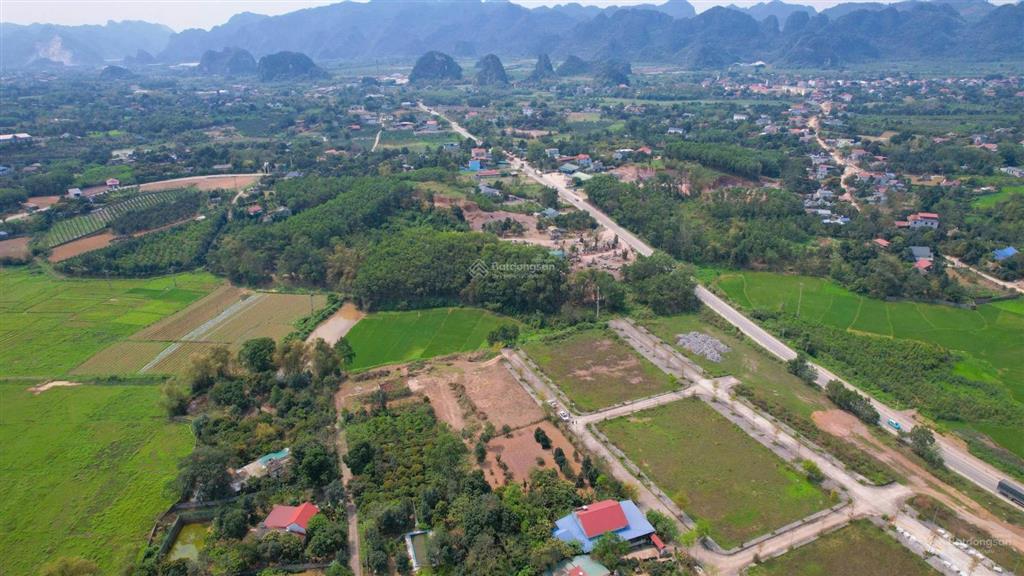 Chính chủ bán đất đấu giá mặt đường hcm, thị trấn ba hàng đồi 103m2, full thổ cư, giá 980tr