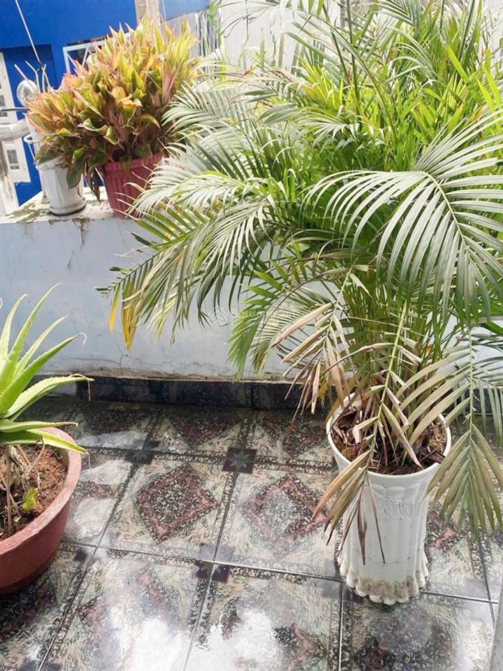 Nhà đường lý thường kiệt ngay chợ ông địa, hẻm ba gác thông nhiều hướng , tiện ích bao quanh .
