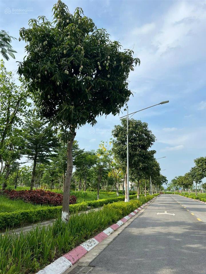 Chính chủ cần gửi bán căn chung cư dự án hud mê linh  cho thuê dòng tiền ổn định 5tr/tháng