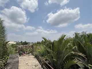 Sở hữu ngay 1000m đất ven sông làm nhà vườn nghỉ dưỡng cực chill  chỉ 9,8tỷ