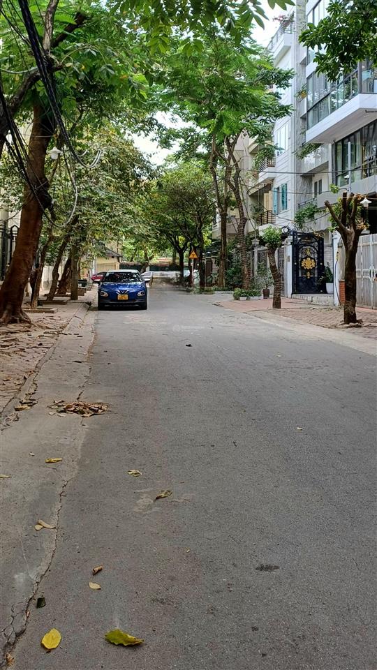 Nhà phố nguyễn cơ thạch 140m², giá 60 tỷ, nội thất nhập khẩu, kinh doanh đẳng cấp