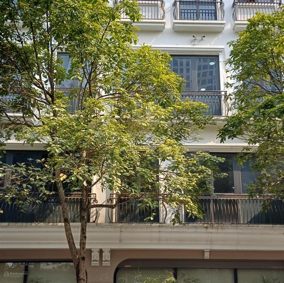 Bán tòa văn phòng lô góc đình thôn 317m2 dòng tiền 220 triệu/tháng giá thương lượng