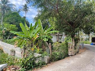 Bán đất cửa lấp dương tơ  dt 600m2 lo góc gần sân bay giá bán 12 tỷ