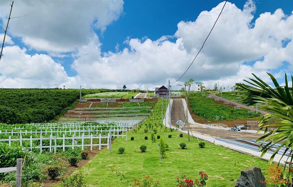 Bán đất nền tại xã lộc an, bảo lâm, lâm đồng, 600 triệu vnd, 137 m2, giá chính chủ.