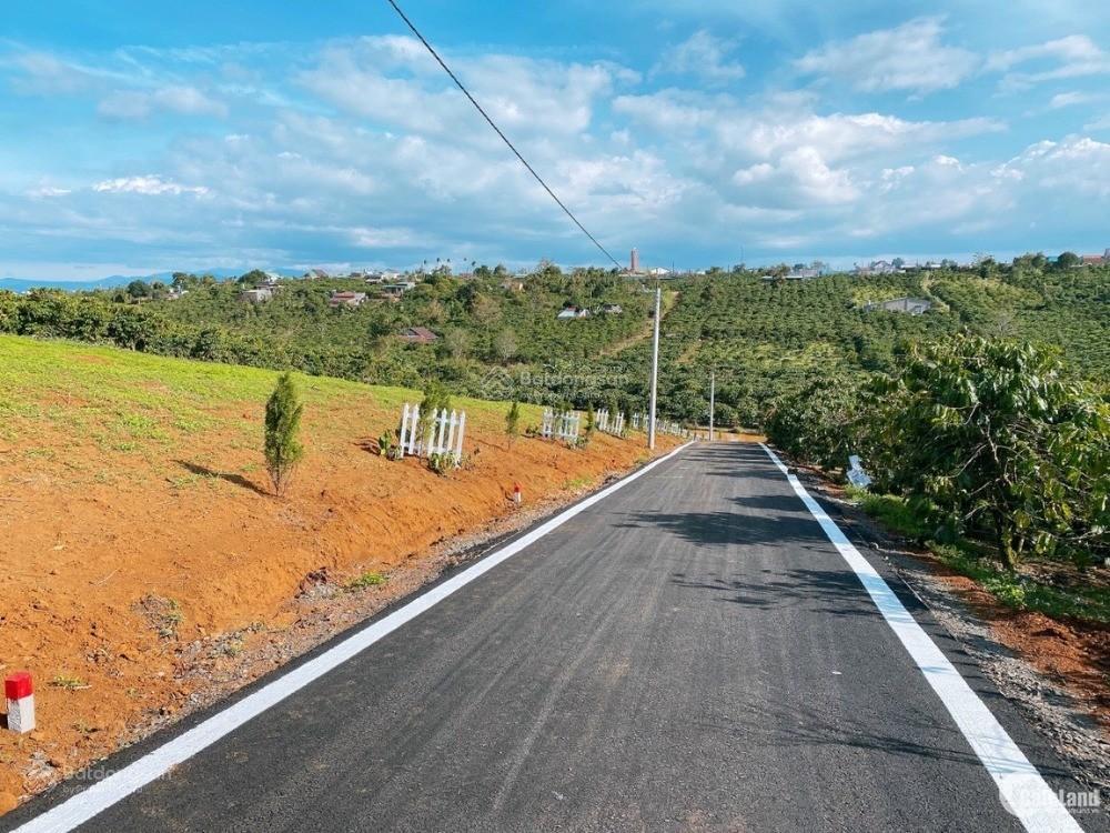 Bán đất nền tại xã lộc an, bảo lâm, lâm đồng, 600 triệu vnd, 137 m2, giá chính chủ.