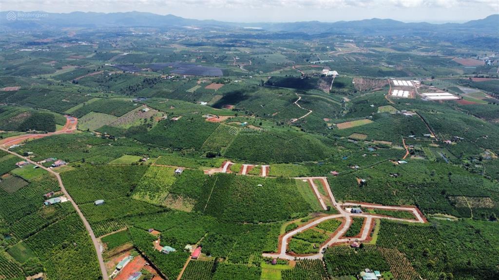 Bán đất nền tại xã lộc an, bảo lâm, lâm đồng, 600 triệu vnd, 137 m2, giá chính chủ.