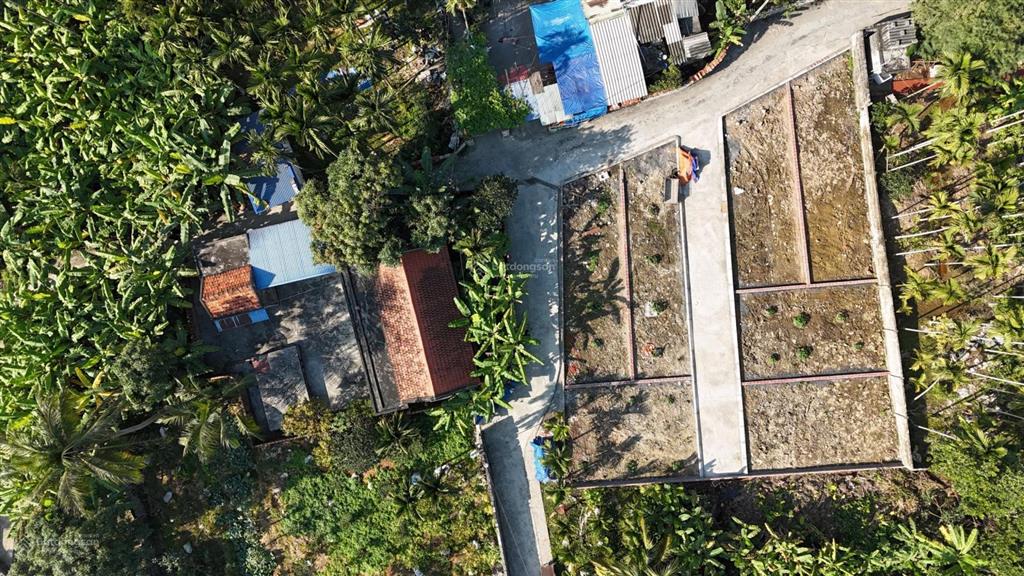 Bán đất tại xã bạch đằng, thủy nguyên, hải phòng, 650 triệu, 60 m2 chính chủ chỉ với