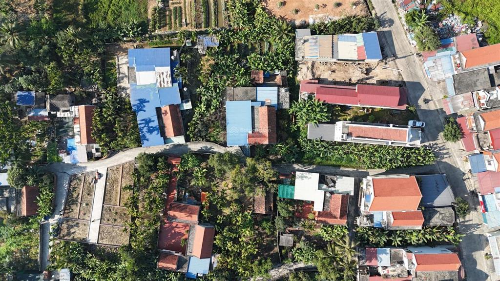 Bán đất tại xã bạch đằng, thủy nguyên, hải phòng, 650 triệu, 60 m2 chính chủ chỉ với