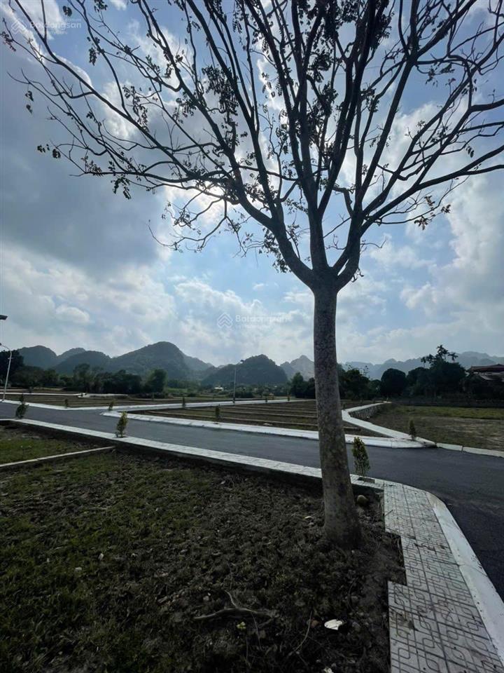 Bán đất thổ cư 55m² cách utopia lạc thủy 500m, giá 8 triệu/m²