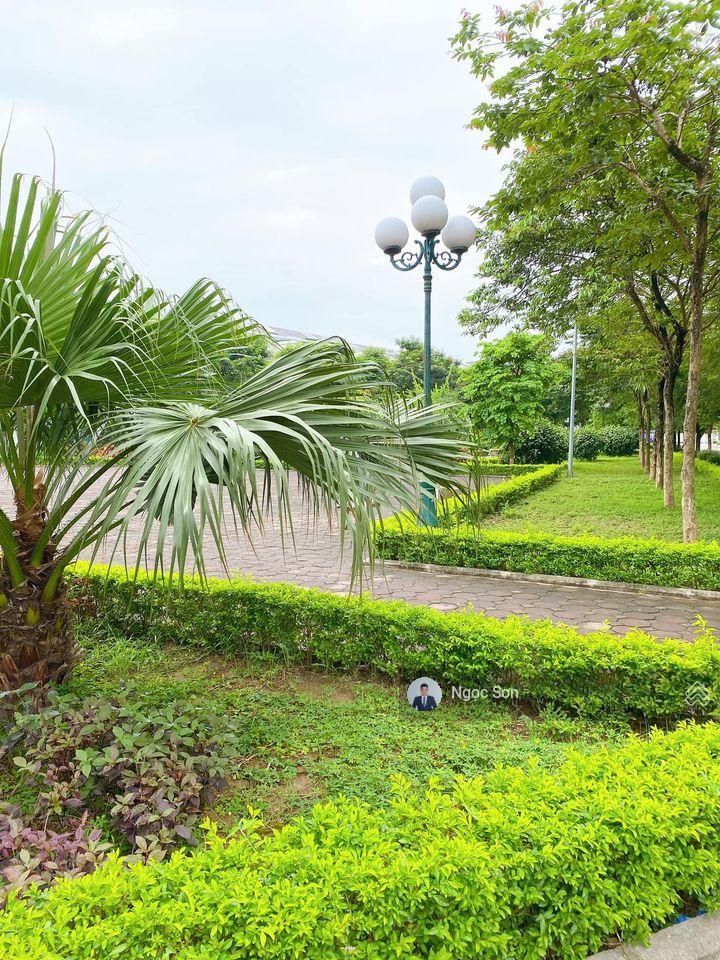 Chính chủ gửi bán dòng nhà vườn được săn nhiều nhất khu d view vườn hoa sổ đỏ giá chỉ 23 tỷ