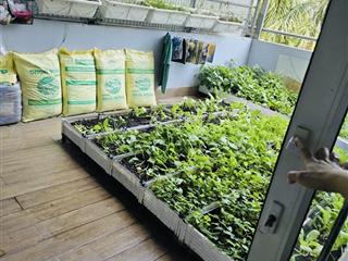Hiếm  gấp bán căn hộ sân vườn 170m2  chung cư thới an  ngay unbd q.12 (cũ)