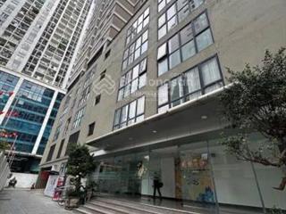 Bán chch 60b nguyễn huy tưởng, dt 60m, 2pn, 2wc, fiull nội thất, giá bán 6 tỷ