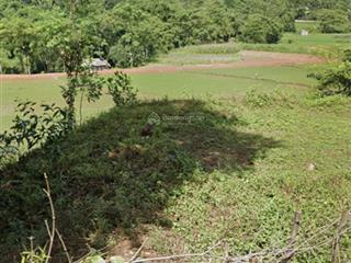 Bán đất gia mô, tân lạc, hoà bình, 411,6m2