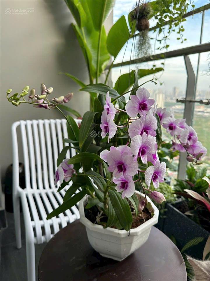 Chính chủ cần bán nhanh căn 2n+ 63m2 sẵn sổ siêu vip nội thất sang trọng tại masteri west heights