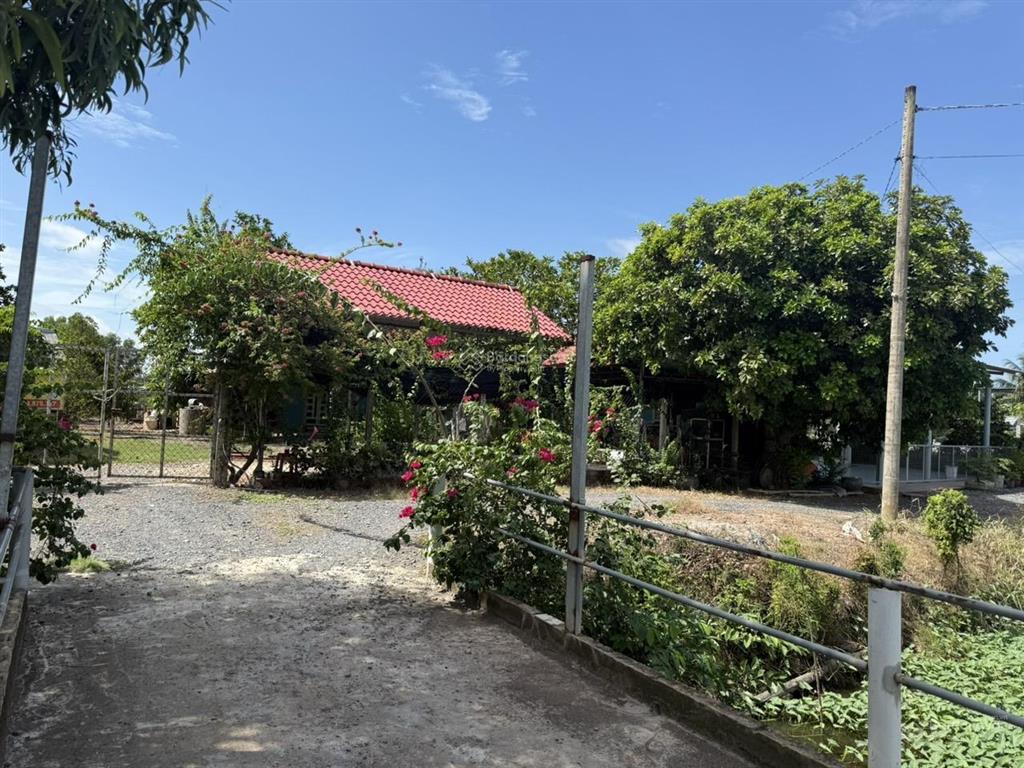 Bán 20x40m thổ cư hiệp hoà,tỉnh tây ninh.