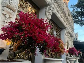 Siêu biệt thự cổ điển, 6 tầng, đường số 7, phường an lạc, tphcm.