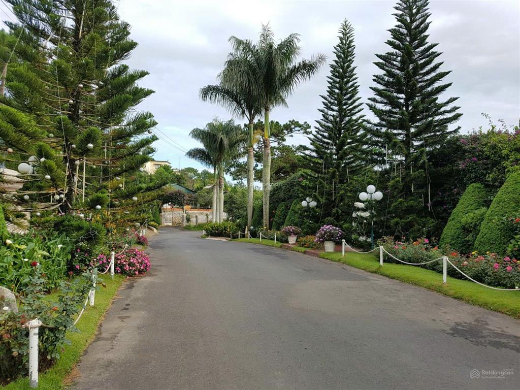 Bán villa tía dú 60 đống đa, đà lạt, 760m2 giá 50 tỷ, đồi robin view toàn cảnh