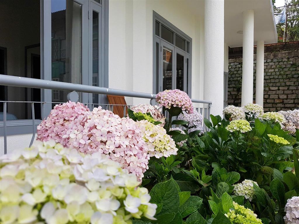 Bán villa tía dú 60 đống đa, đà lạt, 760m2 giá 50 tỷ, đồi robin view toàn cảnh