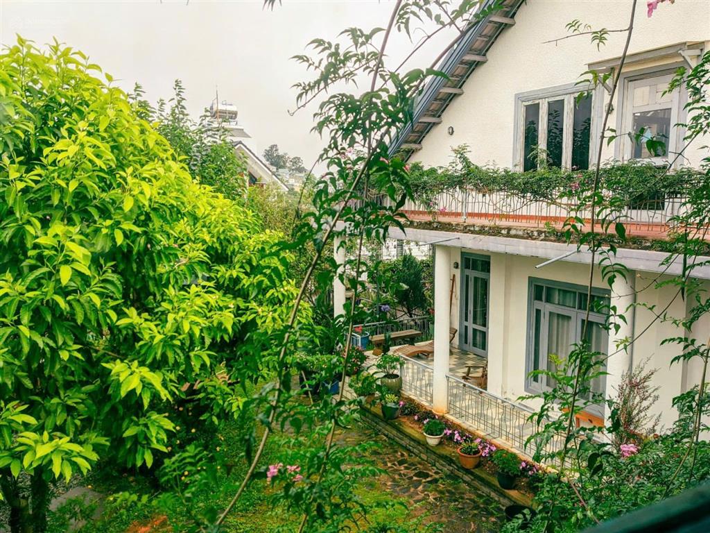 Bán villa tía dú 60 đống đa, đà lạt, 760m2 giá 50 tỷ, đồi robin view toàn cảnh