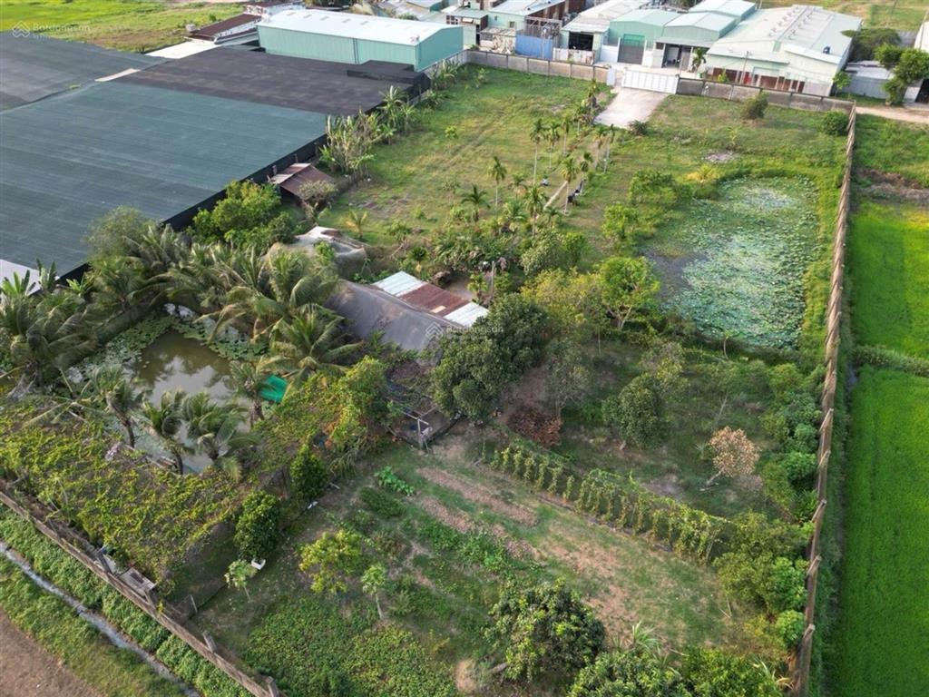 Nhà ở khu nghỉ dưỡng cho giới siêu giàu  xuân thới sơn  hóc môn, 6300m2