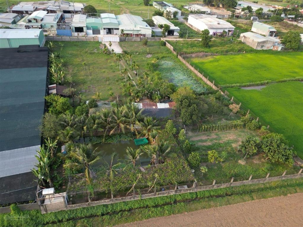 Nhà ở khu nghỉ dưỡng cho giới siêu giàu  xuân thới sơn  hóc môn, 6300m2