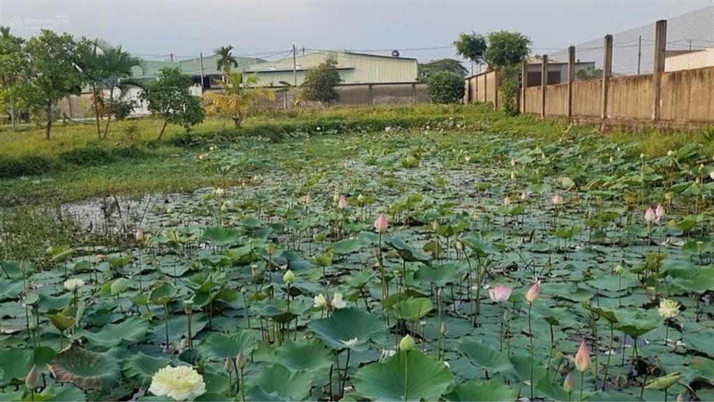 Nhà ở khu nghỉ dưỡng cho giới siêu giàu  xuân thới sơn  hóc môn, 6300m2