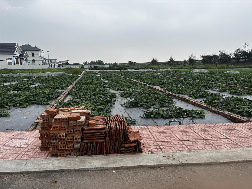 60m mặt tiền 5m đường vào đất 8m nằm giữa khu kinh ninh cơ đất ven biển tiềm năng sổ đỏ sẵn