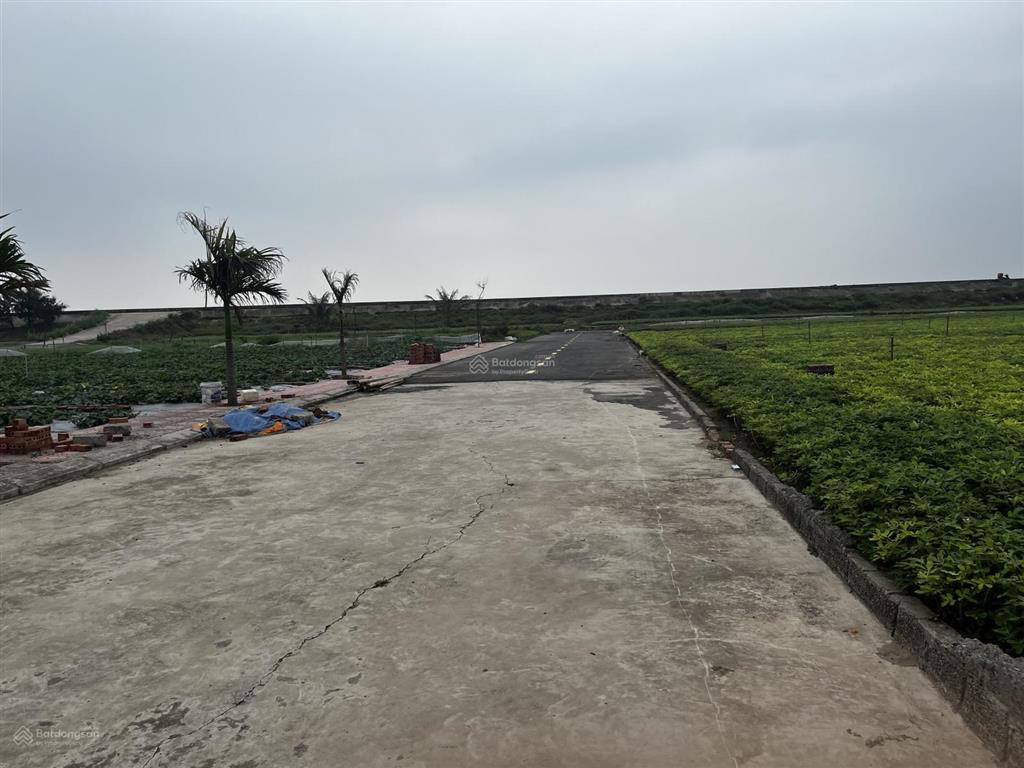60m mặt tiền 5m đường vào đất 8m nằm giữa khu kinh ninh cơ đất ven biển tiềm năng sổ đỏ sẵn