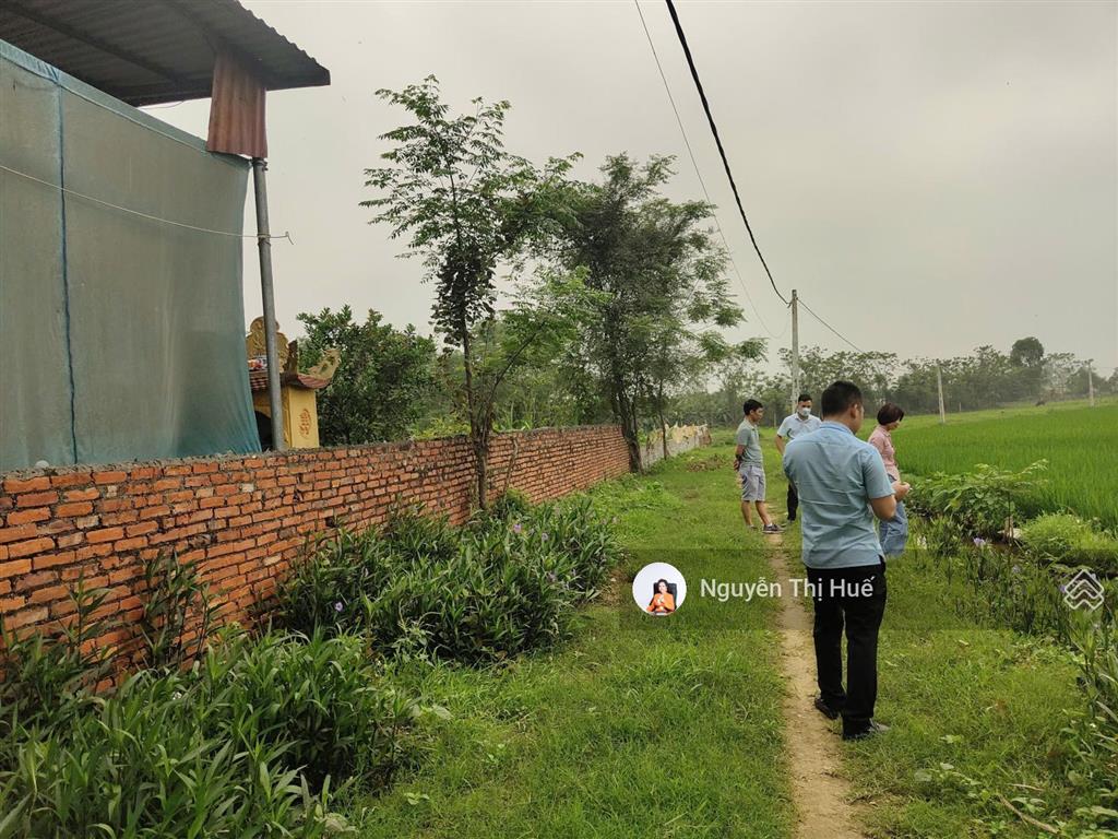 Chỉ hơn 5 triệu/m² 502m² (170m² thổ cư) hoàng văn thụ, chương mỹ | view cánh đồng