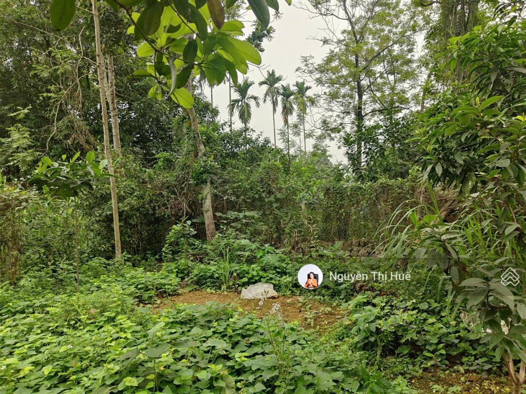 Chỉ hơn 5 triệu/m² 502m² (170m² thổ cư) hoàng văn thụ, chương mỹ | view cánh đồng