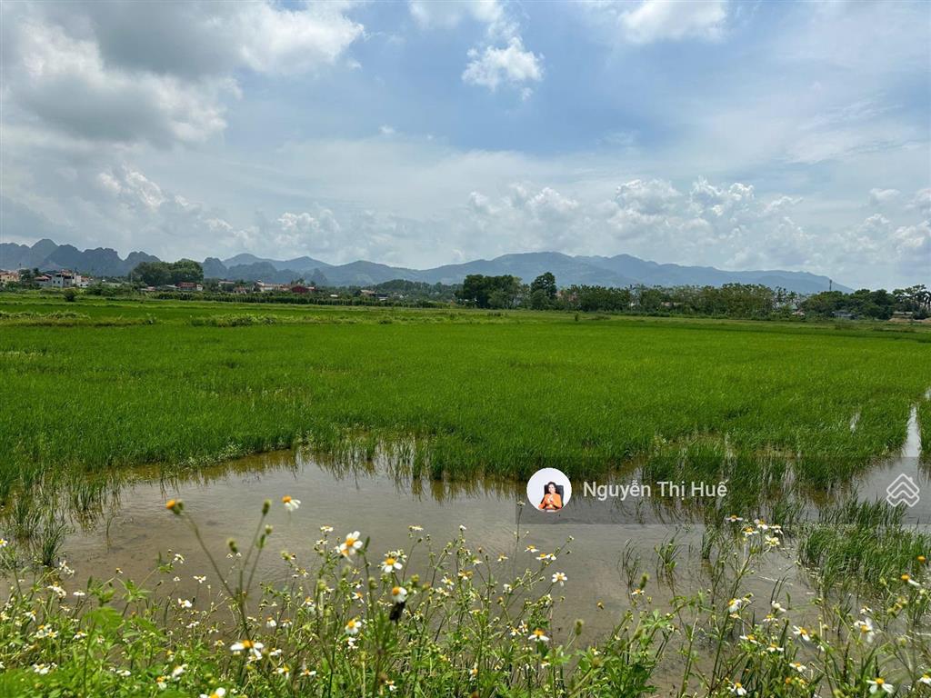 Chỉ hơn 5 triệu/m² 502m² (170m² thổ cư) hoàng văn thụ, chương mỹ | view cánh đồng