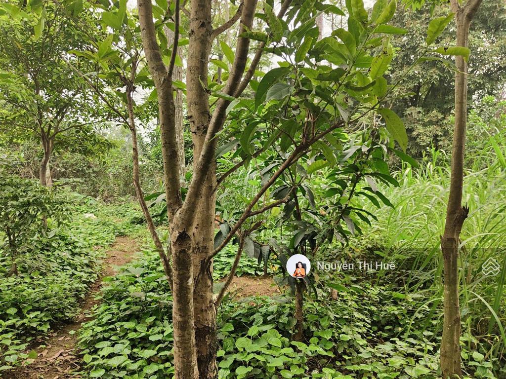 Chỉ hơn 5 triệu/m² 502m² (170m² thổ cư) hoàng văn thụ, chương mỹ | view cánh đồng