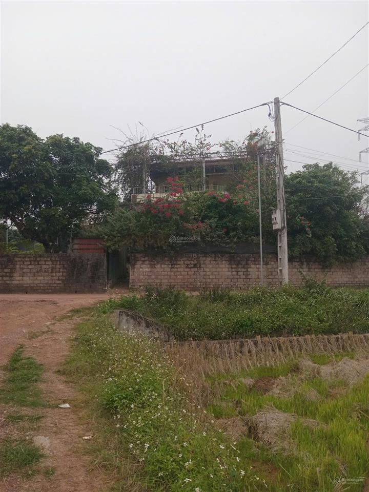 Cho thuê nhà riêng dài hạn, không gian rộng, 3 mặt thoáng tại xã bảo đài, giá tốt