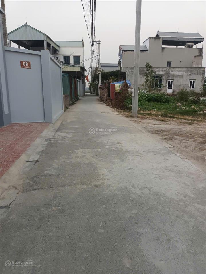 Bán đất chính chủ tại bến chung, bắc hồng, 113,6 m2, mặt tiền 5m, ngõ rộng 2.5m, giá 6,8 tỷ