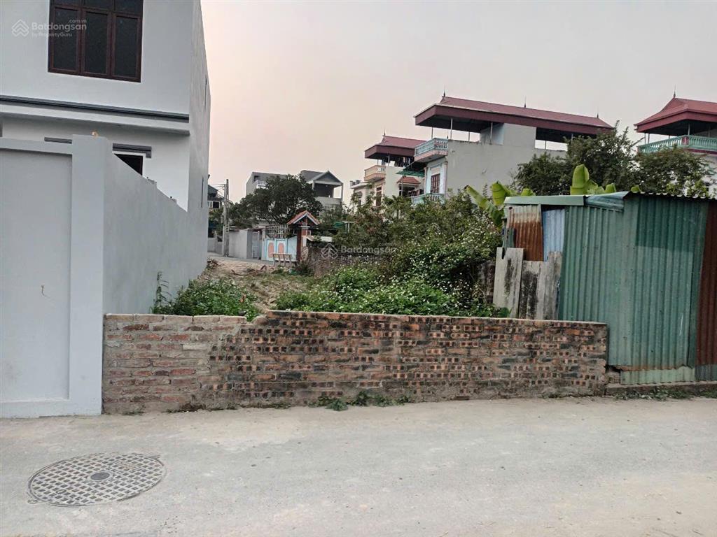 Bán đất chính chủ tại bến chung, bắc hồng, 113,6 m2, mặt tiền 5m, ngõ rộng 2.5m, giá 6,8 tỷ