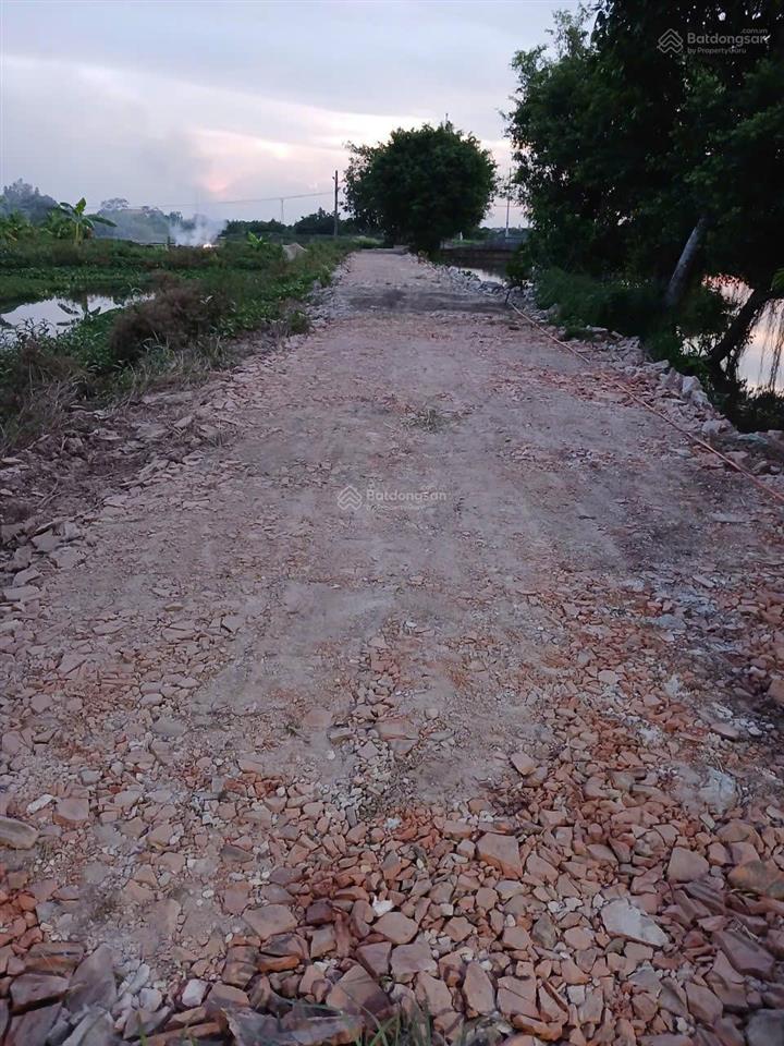 Bán 125m2 đất hạ linh  xuân ngọc  xuân trường, 1,45 tỷ