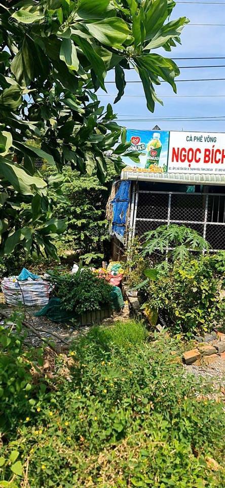 Bán đất mặt tiền quốc lộ 62 full thổ cư thích hợp kinh doanh