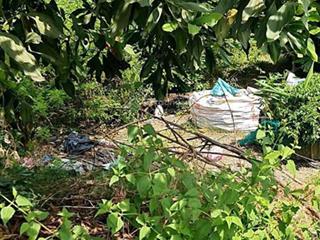 Bán đất mặt tiền quốc lộ 62 full thổ cư thích hợp kinh doanh