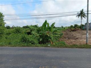 Bán đất 5300m2 mặt tiền đường ql n2, bến lức. giá tốt