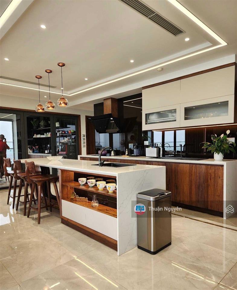 Chính chủ bán căn hộ 4 phòng ngủ 171m2 chung cư dolphin plaza số 6 nguyễn hoàng, mỹ đình