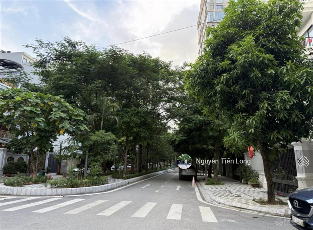 Bán biệt thự vườn đào cạnh tân hoàng minh, view vườn hoa  xây vp, bt  176m2 giá 98.5 tỷ  sổ nét