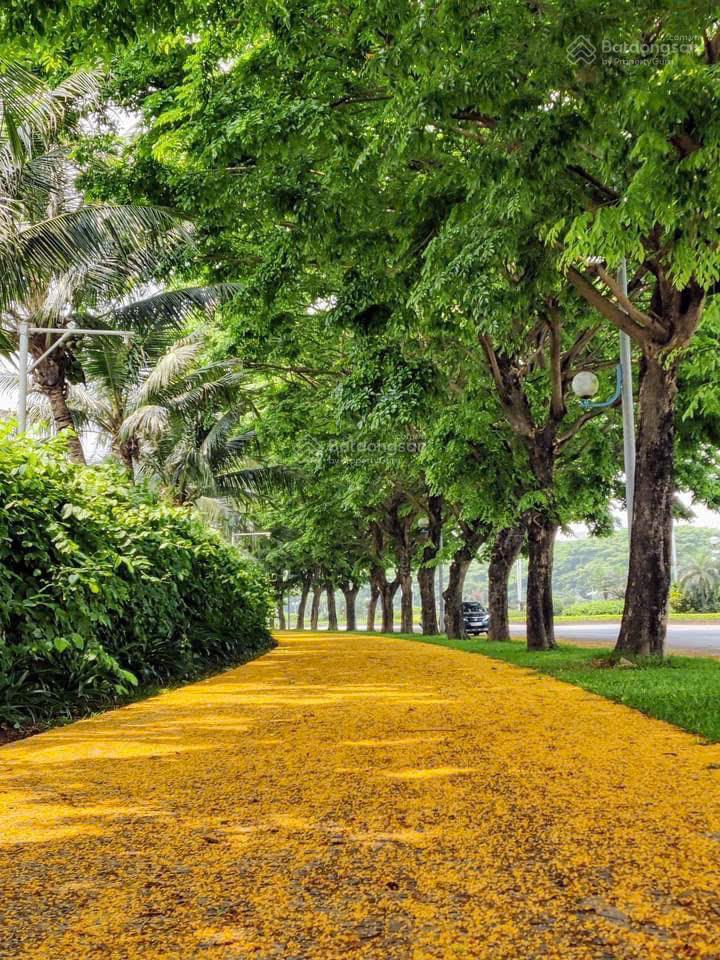 Bán biệt thự tại vinhomes riverside the harmony long biên, phường phúc lợi, tp hà nội. dt 166m2