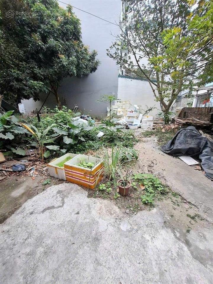 Hiếm nhỉnh 100tr/m, ô tô 7 chỗ đỗ cửa, tt phúc lợi