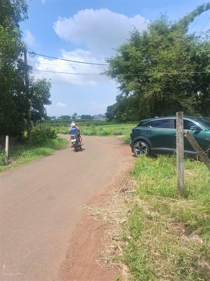 Cần tiền bán gấp lô đất thổ cư đường nhựa 6m  xã suối nghệ  châu đức  bà rịa vũng tàu dt 7x32m