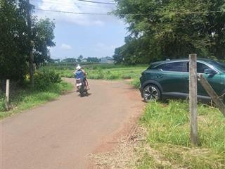 Cần tiền bán gấp lô đất thổ cư đường nhựa 6m  xã suối nghệ  châu đức  bà rịa vũng tàu dt 7x32m