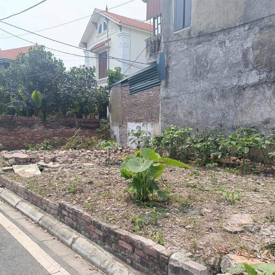 Bán đất đa tốn gia lâm 45moto nhỏ vào đấtđối diện vinhomes ocean parknhỉnh 3 tỉ